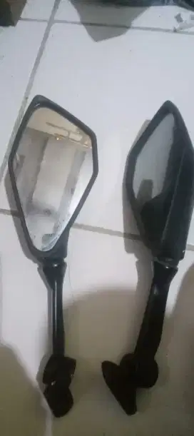 Spion ninja mono
