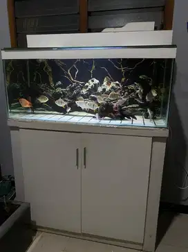 Aquarium fulset 120/50/50 10mm meja kabinet