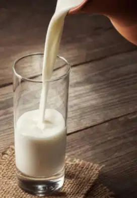 PO Susu Sapi Murni Varian Rasa di Sawangan Depok