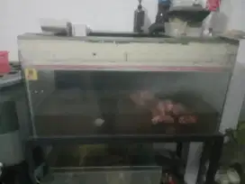 Aquarium dan rak besi