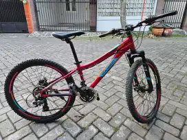 Polygon relic ukuran 24 inch