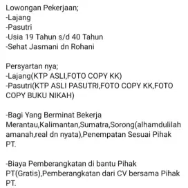 Lowongan kerja kelapa sawit