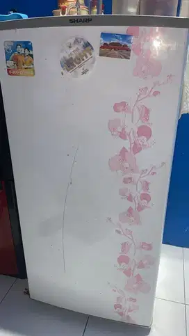 Kulkas Merks Sharp