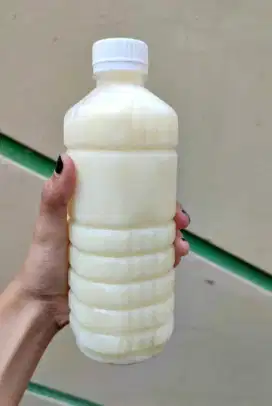 SUSU KAMBING Oringinal