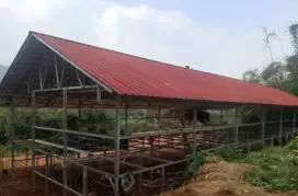 Buat Raka kandang ayam terpasng