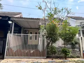 Dijual rumah cantik di Permata Puri Cluster Bromelia, siap huni no PR