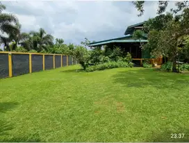 Dijual Rumah villa Sejuk di Pancawati Cikereteg Bogor