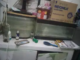 aquarium 200 ribu dapat 2 dan perlengkapan nya
