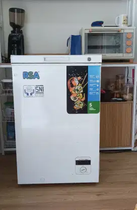 Freezer Box RSA 100LITER second