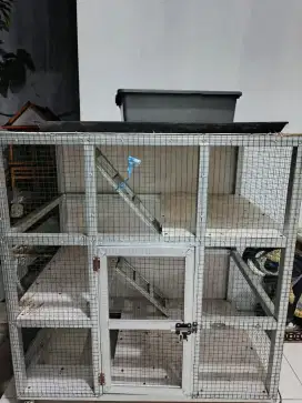 Kandang kucing, kucing kandang, kandang kucing tingkat, hotel kucing