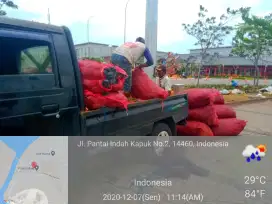 LANDSCAPE Tanaman Hias - JABODETABEK