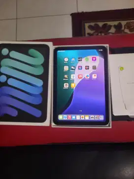 Ipad Mini (A17 Pro) Wifi 256