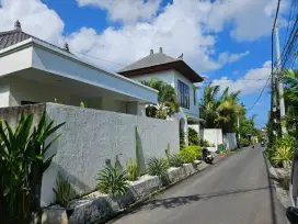 Buc tanah hook kaw villa 250m2 lebar 19mtr jantuk angsa canggu jl6mtr