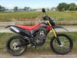 CRF 2021 plat E