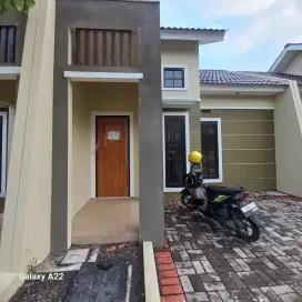 Dikontrakkan Rumah Per Tahun