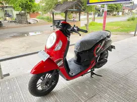 Di jual honda scoopy tahun 2024
