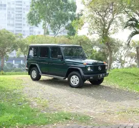 SUPER RARE Low Km & Cat & Interior FULL ORI | G 300 Mercedes Benz