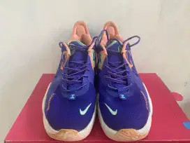 Sepatu Nike PG 5 EP