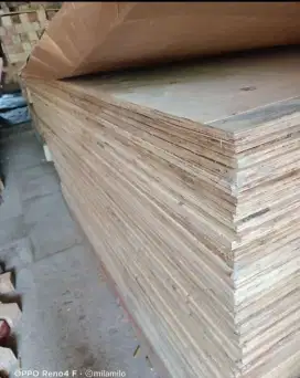 Jual triplek bekas 18mm 120x240