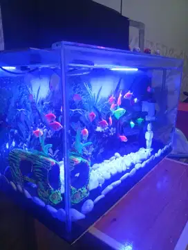 Dijual aquarium lengkap fullset