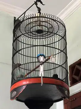 Sangkar / Kandang burung bulat No.5