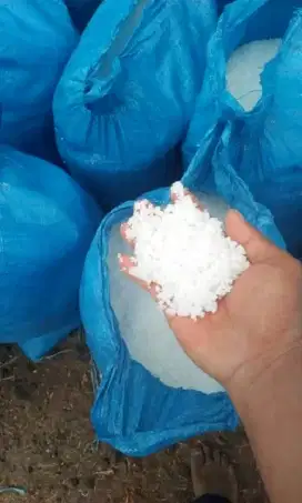 Garam Kerosok Kasar untuk Peternakan & Pertanian Harga Terjangkau
