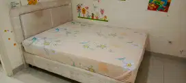 Springbed Comforta Uk Queensize