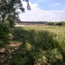 DUJUAL TANAH PETAK