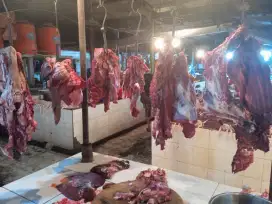 Daging sapi lokla