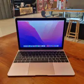 Macbook Retina 12 inch   early 2016