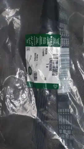 Fan belt range rover