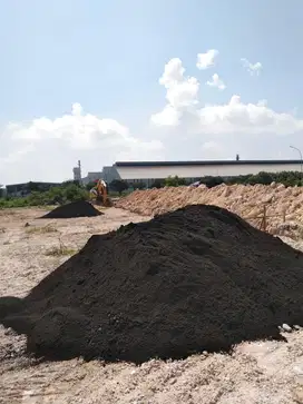 Pasir Hitam Lumajang Asli