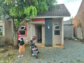 Rumah nyaman adem 245