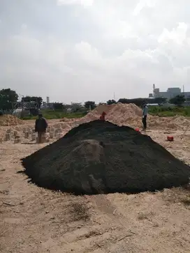Pasir Hitam Lumajang Asli