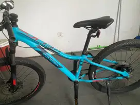 Polygon Relic 24 Kids Mountain Bike.