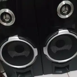 Speaker polytron