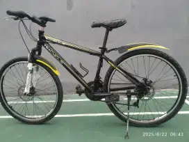 Wimcycle RC- DX 26 inc
