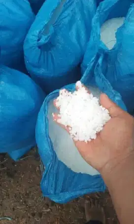 Garam Krosok untuk Tambak Udang dan Ikan - Kualitas Terbaik!