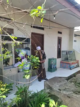 Disewakan Rumah strategis dirawadenok