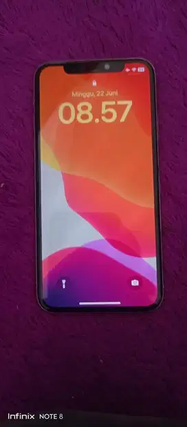 Iphone x 256 hp+charger
