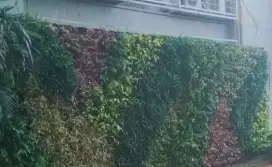 Terima jasa bikin taman pertikan