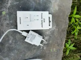 Charger Samsung Ory 25watt