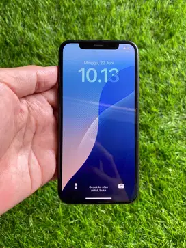 Iphone Xs 256gb all operator
