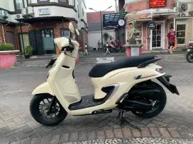 STYLO 160 CBS 2024
