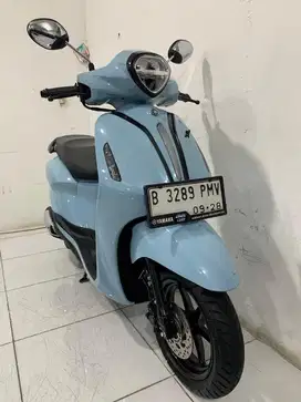 Filano 2023 Neo