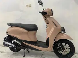Filano 2024/2025 Lux