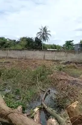 Tanah shm pinggir jalan raya Parung H mami