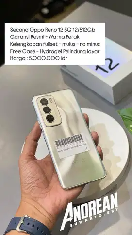 Second Oppo Reno 12 5G 12/512 Gb