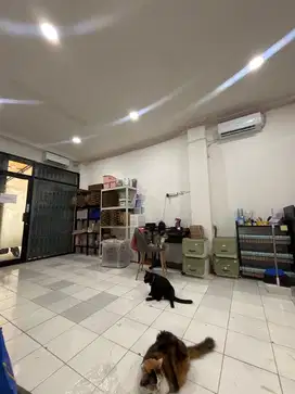 pengasuh 11 kucing kantor + office girl/boy
