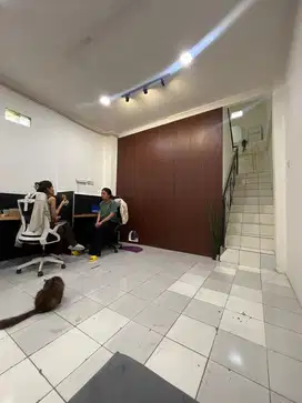 pengasuh 11 kucing kantor + office girl/boy
